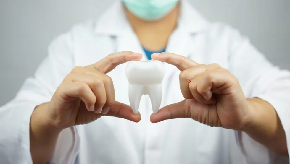 A dentist in Turkey holding a teeth model